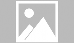 母老虎漫画,揭示职场女性的力量与智慧