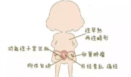 进入子宫漫画,漫画中的生命孕育之旅